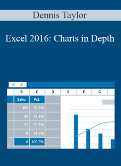 Dennis Taylor Excel 2016 Charts in Depth 250x343 1 - eSys[GroupBuy]