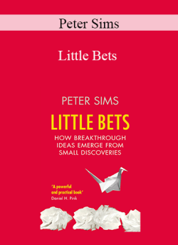 Peter Sims – Little Bets